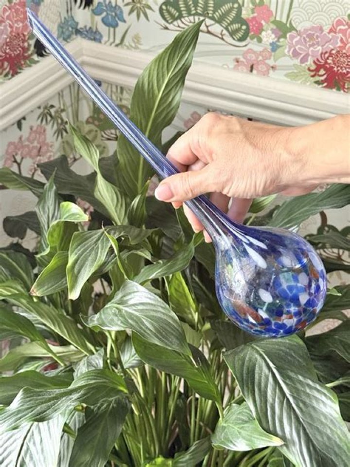 Do aqua globes work?