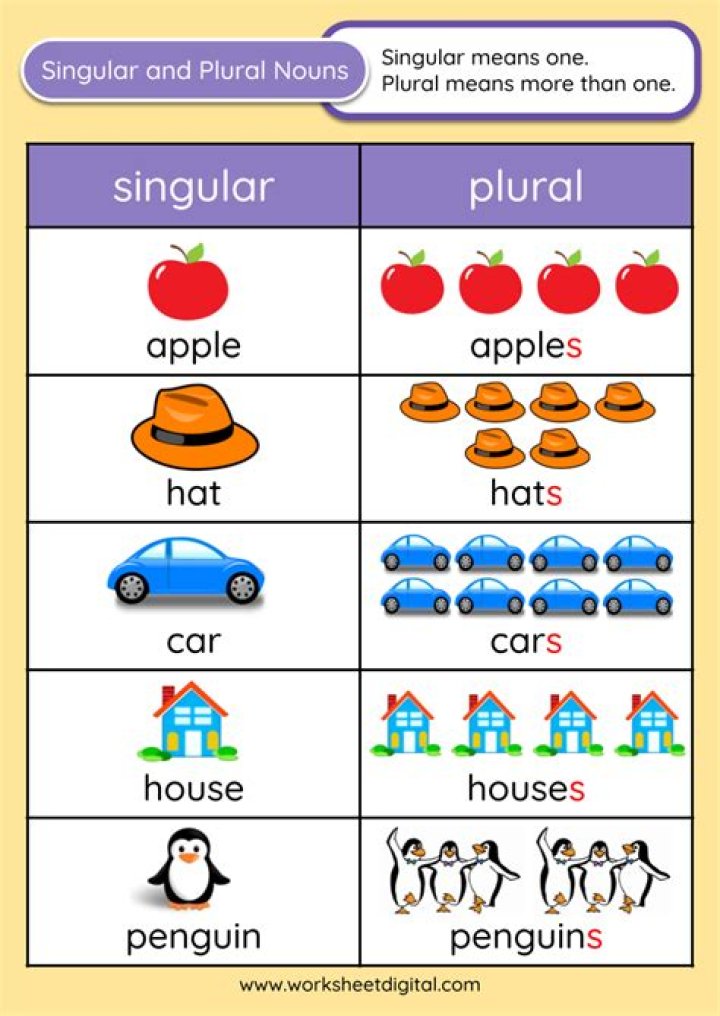 Is examinee singular or plural?