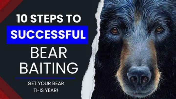 What does bear baiting?