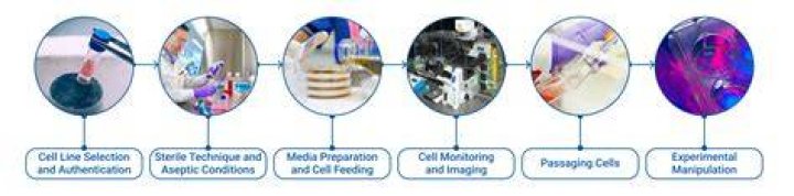 What does cytologists mean?