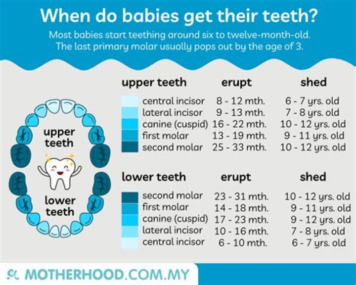 When does milk tooth fall?